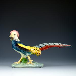 Pheasant